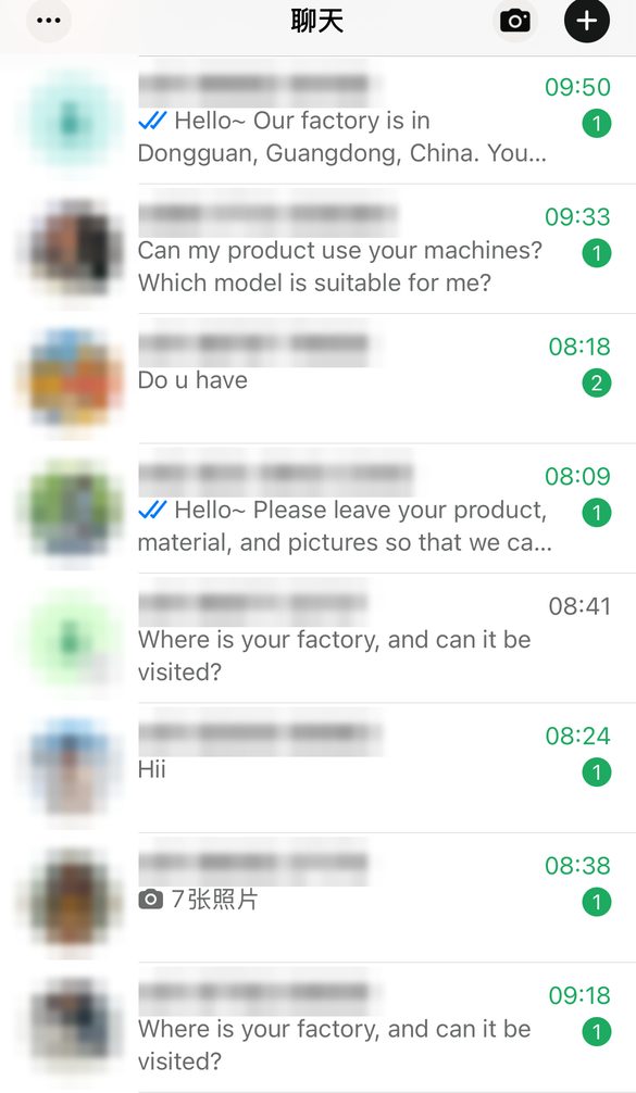 海外买家 WhatsApp 询盘截图（已打码）